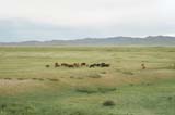 Mongolia Image