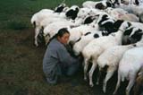 Mongolia Image