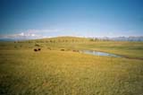 Mongolia Image