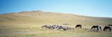 Mongolia Image