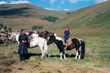 Mongolia Image