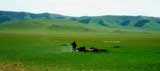 Mongolia Image