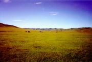 Mongolia Image