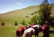 Mongolia Image