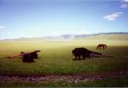 Mongolia Image