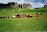 Mongolia Image