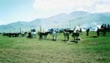 Mongolia Image