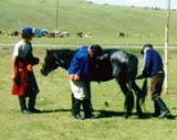 Mongolia Image