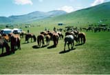 Mongolia Image