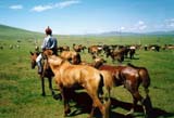 Mongolia Image