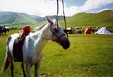 Mongolia Image