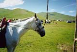 Mongolia Image