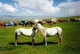 Mongolia Image