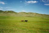 Mongolia Image