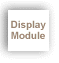 Display Module