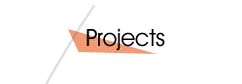  Project Page